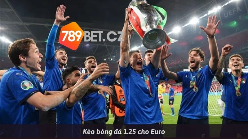 Cá độ thể thao kèo bóng đá euro 789BET
